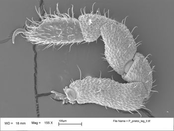 Media type: image;   Invertebrate Zoology 147385   shows cataloged_item 147385